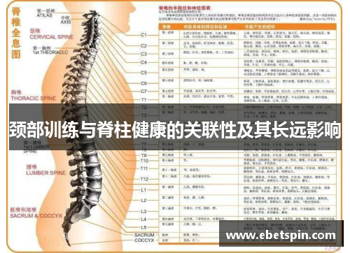 颈部训练与脊柱健康的关联性及其长远影响